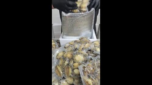 鲜活鲍鱼肉现剥（价格面议）