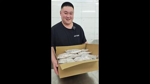 鱿鱼粒章鱼小丸子原料（价格面议）